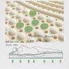 100% Natural Latex Mattress Topper for Pressure Relief and Support, Queen Size 140 x 200 cm, 79 cm view 2