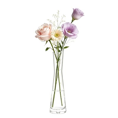 25 cm Clear Glass Bud Vase with Narrow Neck