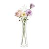 25 cm Clear Glass Bud Vase with Narrow Neck view 1