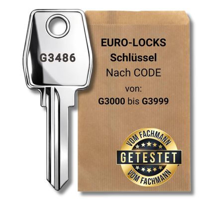 bayesen Replacement Key Compatible with Euro-Locks (Code G3000 to G3999) - Key for Furniture, Locker and Other Locks - Code [G3311]