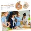 Cabilock 5 Sets Fossil Decor for Teaching, Prehistoric Fossil Simulation Models, OPP Packaging, 2 Pieces × 5 view 2