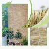 Generic Bamboo Roller Shade for Outdoor Use view 4