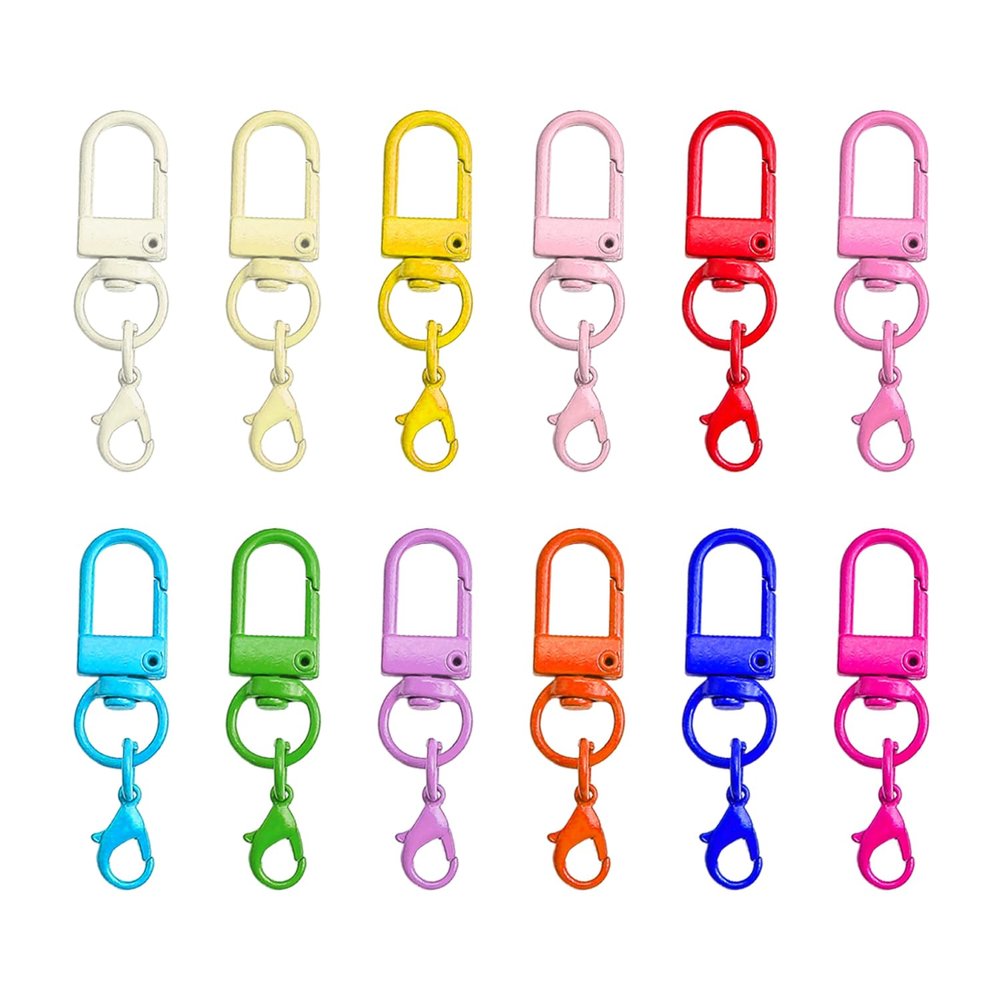 AIRTILY 12-Piece Colorful Keychain Set