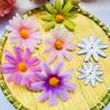 Exquisite Flower Cutting Metal Dies for Scrapbooking view 3