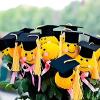 Graduation Cap Decoration Kit view 3