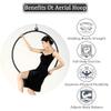 Professional Aerial Hoop Kit for Circus, Fitness, Acrobatics and Yoga Dance view 2