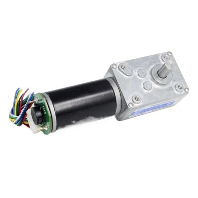 PKHDLYEU Worm Gear Motor with Encoder, 80 RPM, 12 V