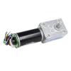 PKHDLYEU Worm Gear Motor with Encoder, 80 RPM, 12 V view 1
