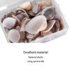 Natural Shells for Crafts view 2