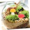 12 Small Resin Mushroom Figurines for Bonsai Bowls and Indoor Decor view 4