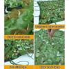 Military Camouflage Net for Hunting and Shade, Green, 10 x 14 m view 3