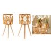 ZEPFJHE Rattan Indoor Plant Stand with Wooden Legs view 2