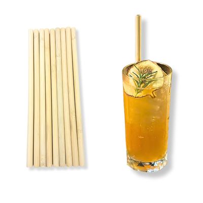 Sustainable Bamboo Drinking Straws - 10 Pack