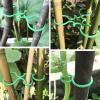 200 Plant Support Clips, Green Plastic Clips for Trellises and Cages view 4