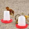 Automatic Chicken Waterer for Chicks view 2