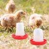 Automatic Chicken Waterer for Chicks view 3