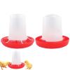 Chicken Feeder and Waterer Set with Automatic Chick Drinker view 1