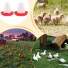 Chicken Feeder and Waterer Set with Automatic Chick Drinker view 4