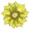 ABOOFAN 10-Pack Maple Leaf Foil Balloons view 1