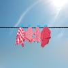 Camping Clothesline - Retractable Clothesline with Hooks view 3