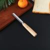 Multifunctional Stainless Steel Pitter view 3