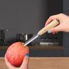 Fruit Pitting Tool view 2