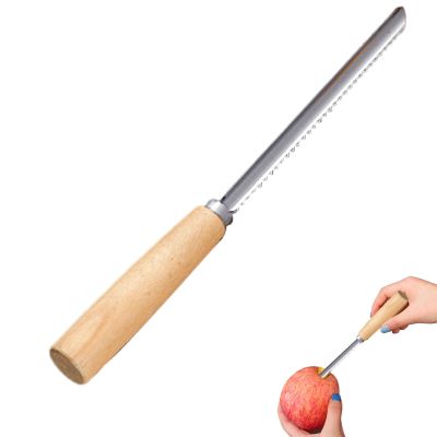 Fruit Pitter | Multifunctional Stainless Steel Pitter