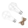 2 Pear-Shaped Glass Vases with Cotton Hanging Rope, Hydroponic view 1