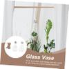 2 Pear-Shaped Glass Vases with Cotton Hanging Rope, Hydroponic view 3
