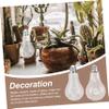 2 Pear-Shaped Glass Vases with Cotton Hanging Rope, Hydroponic view 4
