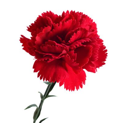 Artificial Carnations - Everlasting Floral Decoration