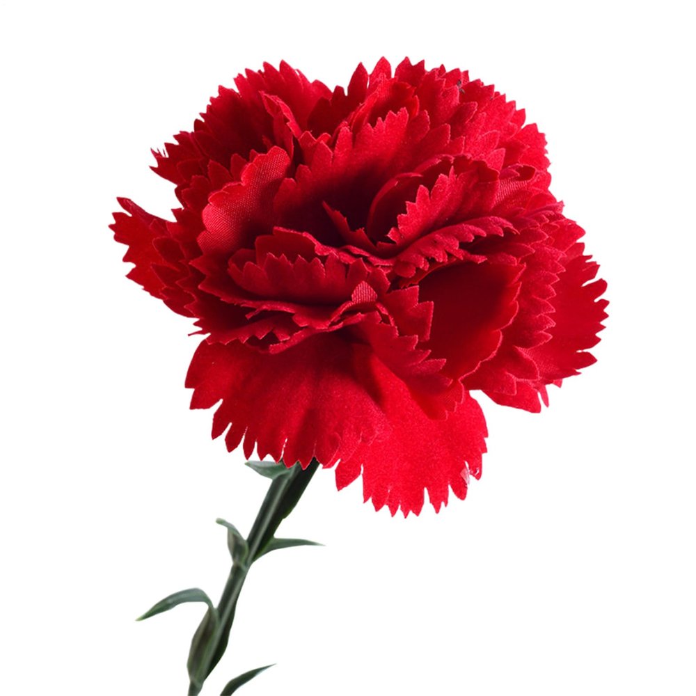 Artificial Carnations - Everlasting Floral Decoration
