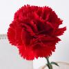 Artificial Carnations - Everlasting Floral Decoration view 3