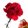 Artificial Carnations | Realistic Silk Flowers | Permanent Floral Decor view 1