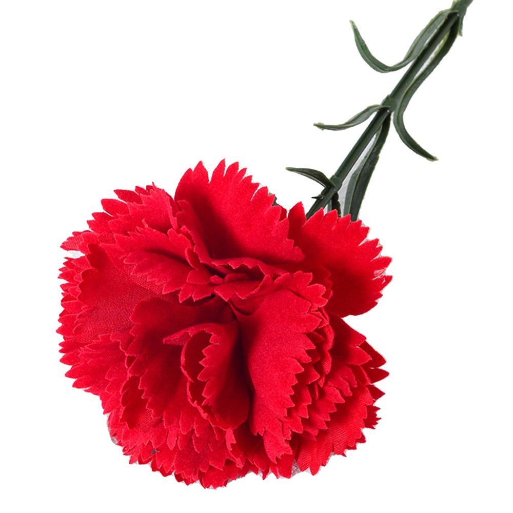 Ceprznvey Artificial Carnations