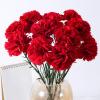 Ceprznvey Artificial Carnations view 3