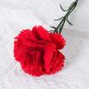 Ungtyb Artificial Carnations view 3
