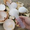 Coconut Meat Scraper view 4
