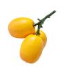 YIGZYCN Imitation Loquat Fruits view 1