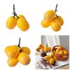 YIGZYCN Imitation Loquat Fruits view 2