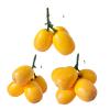 YIGZYCN Imitation Loquat Fruits view 3