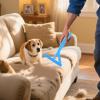 Ruwshuuk Pet Hair Remover | Carpet Comb with Scraper Function view 2