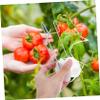 VANZACK Tomato Support Hooks, 6-Piece Set, Galvanized Steel for Greenhouses view 4