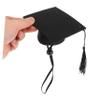 1-Piece Pet Graduation Costume Set with Black Felt Cap view 4