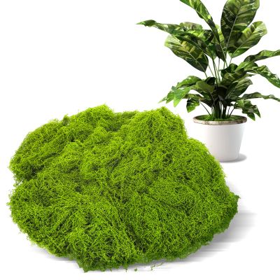 Artificial Moss for Decoration, 100g