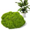 Artificial Moss for Decoration, 100g view 1