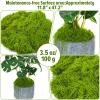 Artificial Moss for Decoration, 100g view 2