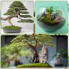 Artificial Moss for Decoration, 100g view 4