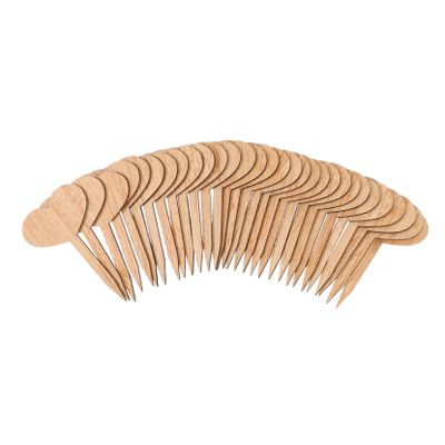 30 Wooden Heart Plant Labels for Kitchen Herbs