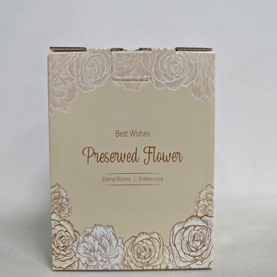 MAMAMIKO Eternal Roses in Glass with LED Light (Batteries Not Included)